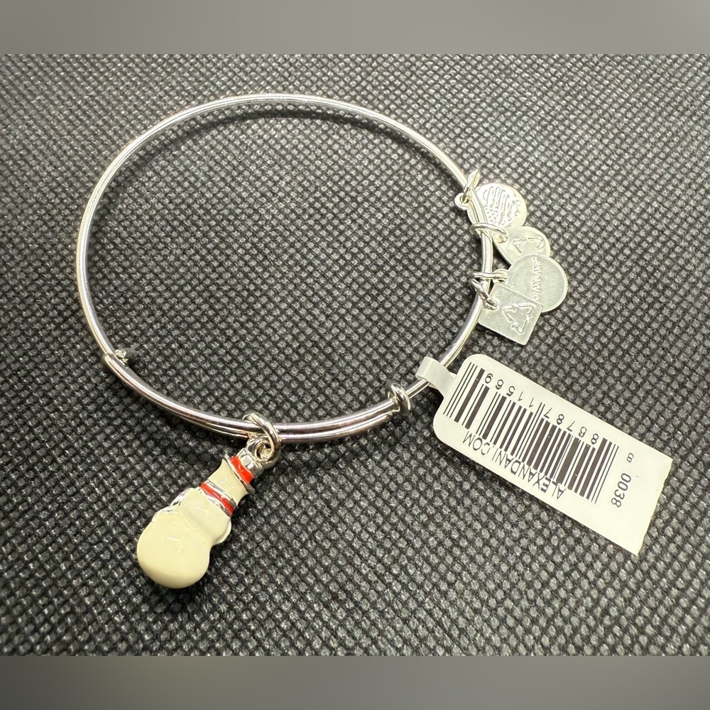 ⛄️ALEX AND ANI⛄️Charity by Design Snowman in Shiny Silver with Gift Box/NWT - Picture 11 of 11